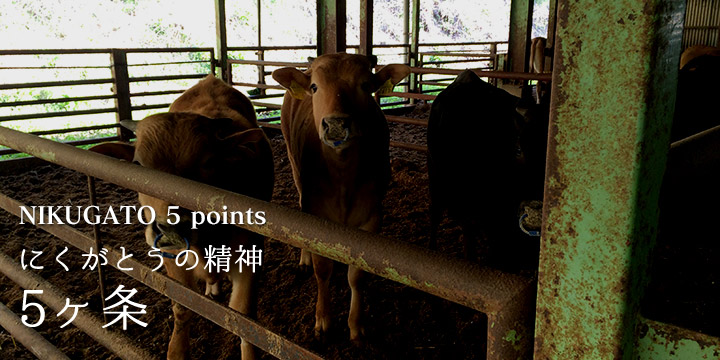 NIKUGATO 5 points